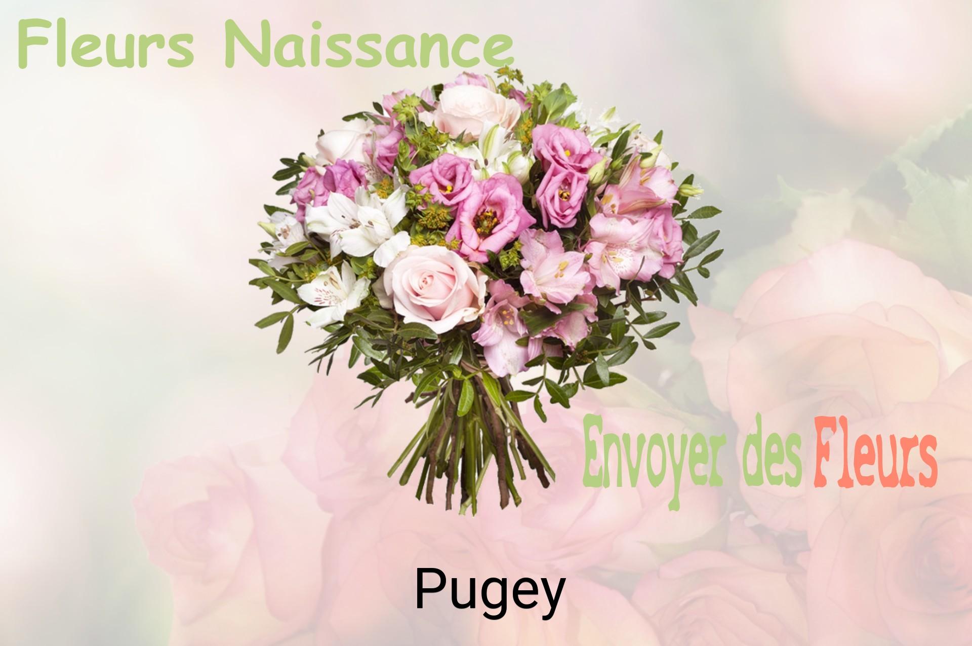 Bouquet de fleurs de naissance livré à Pugey